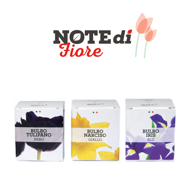 NOTE di Fiore